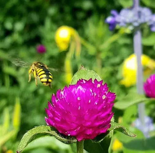 Eneida Landhaus La Hidalga