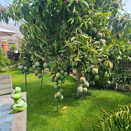 Eneida منزل ريفي La Hidalga